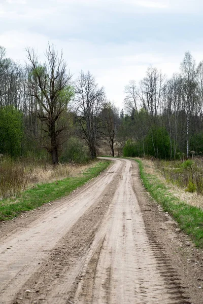 çamur ormanda yaz ısı perspektifte kırsalında iziyle boş çakıl yol