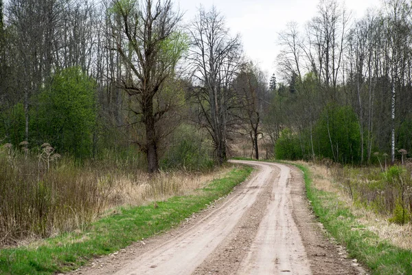 Tom Grusväg Med Spår Lera Landsbygden Sommar Värmen Perspektiv Skogen — Stockfoto