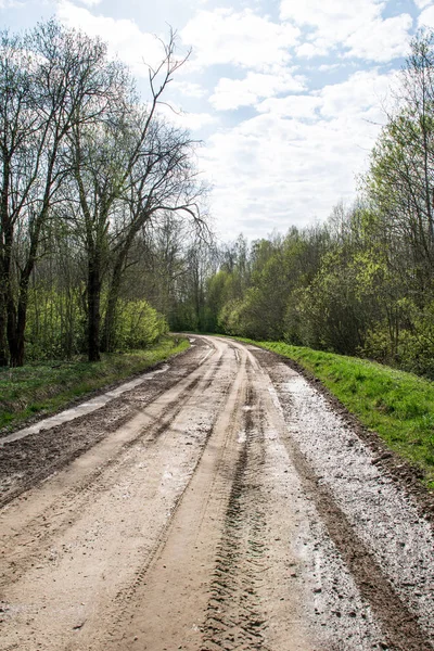 森夏熱視点で田舎の泥のトラックと空の砂利道 — ストック写真