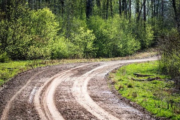 Tom Grusväg Med Spår Lera Landsbygden Sommar Värmen Perspektiv Skogen — Stockfoto