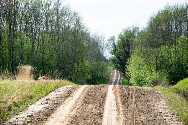 Çamur Ormanda Yaz Isı Perspektifte Kırsalında Iziyle Boş Çakıl Yol — Stok fotoğraf