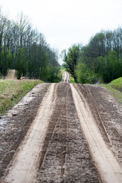 Strada Sterrata Vuota Con Tracce Fango Campagna Estate Prospettiva Caldo — Foto Stock