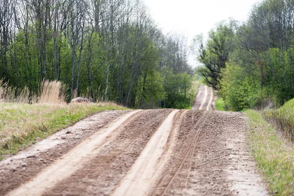 Tom Grusväg Med Spår Lera Landsbygden Sommar Värmen Perspektiv Skogen — Stockfoto