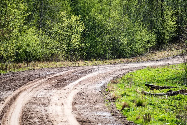 Empty Gravel Road Tracks Mud Countryside Summer Heat Perspective Forest — Stock Photo, Image