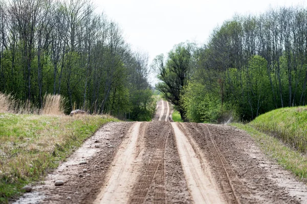 Tom Grusväg Med Spår Lera Landsbygden Sommar Värmen Perspektiv Skogen — Stockfoto