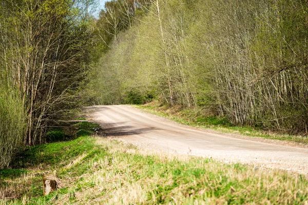 Tom Grusväg Med Spår Lera Landsbygden Sommar Värmen Perspektiv Skogen — Stockfoto