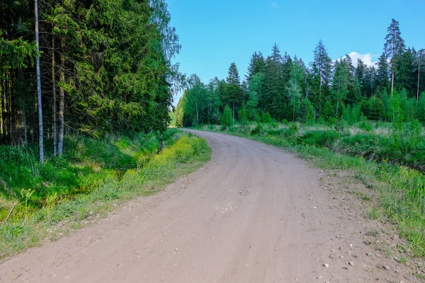 Strada Sterrata Vuota Con Tracce Fango Campagna Estate Prospettiva Caldo — Foto Stock