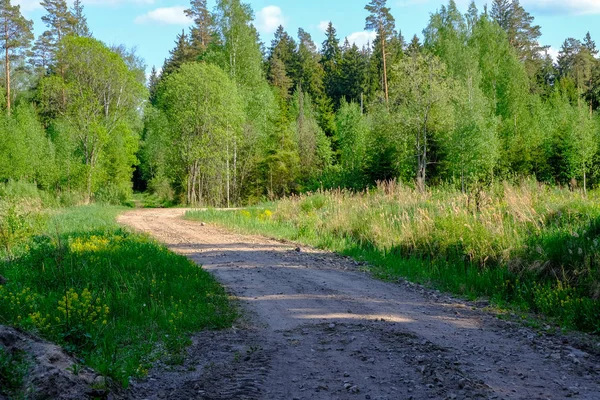 Route Gravier Vide Avec Des Pistes Boue Campagne Été Perspective — Photo