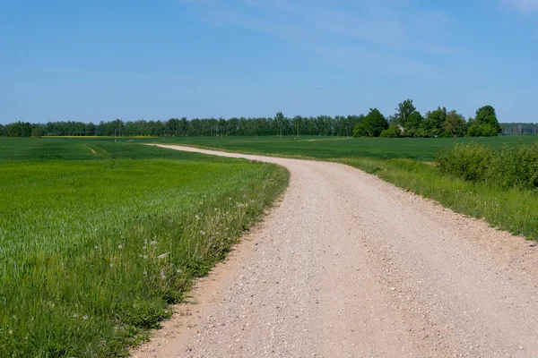 Camino Grava Vacío Con Pistas Barro Campo Perspectiva Calor Verano — Foto de Stock