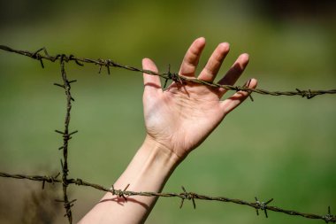 yeşil zemin üzerine dikenli tel çit, kadının el debriyaj