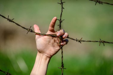 yeşil zemin üzerine dikenli tel çit, kadının el debriyaj