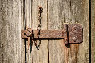 Eski ahşap Letonya kırsal kesimde yaz yeşillik ile binanın terk edilmiş kalıntıları