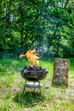 Barbekü kömür ızgarada ateş. Weber türü yemek ızgara küçük ucuz Barbekü ızgara evde. Aile mangal - Barbekü piknik