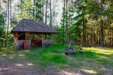 Eski ahşap Letonya kırsal kesimde yaz yeşillik ile binanın terk edilmiş kalıntıları