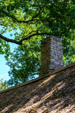 Eski ahşap Letonya kırsal kesimde yaz yeşillik ile binanın terk edilmiş kalıntıları