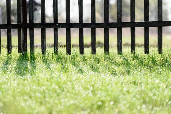 Manhã Cedo Jardim Rural Com Cerca Madeira Velha Raios Sol — Fotografia de Stock