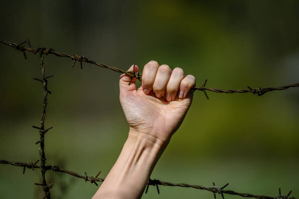 womans Hand clutch at barbed wire fence on green background