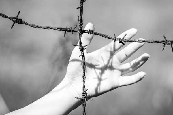 womans Hand clutch at barbed wire fence on green background