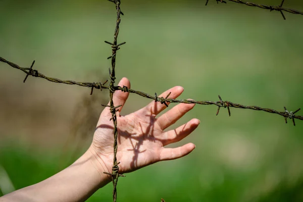 womans Hand clutch at barbed wire fence on green background