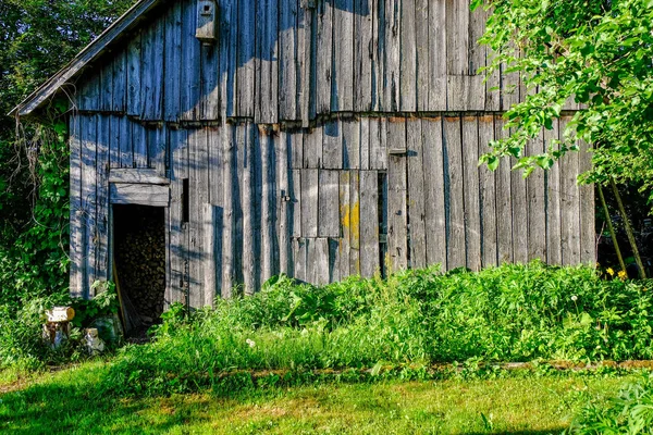 Övergivna Ruiner Gamla Träbyggnad Lettland Landsbygden Sommaren Med Bladverk — Stockfoto