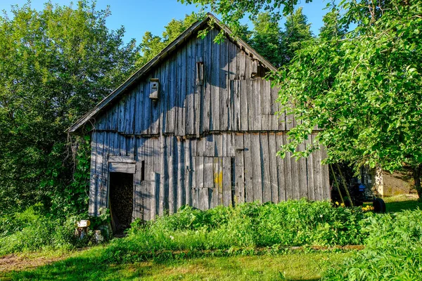 Verlassene Ruinen Alter Holzhäuser Der Landschaft Lettlands Sommer Mit Laub — Stockfoto