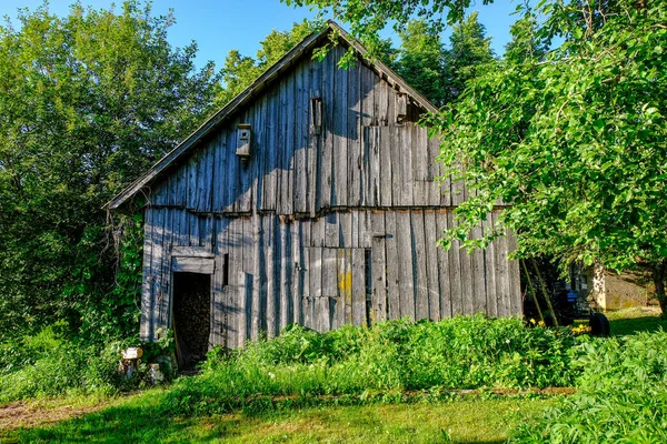 Övergivna Ruiner Gamla Träbyggnad Lettland Landsbygden Sommaren Med Bladverk — Stockfoto