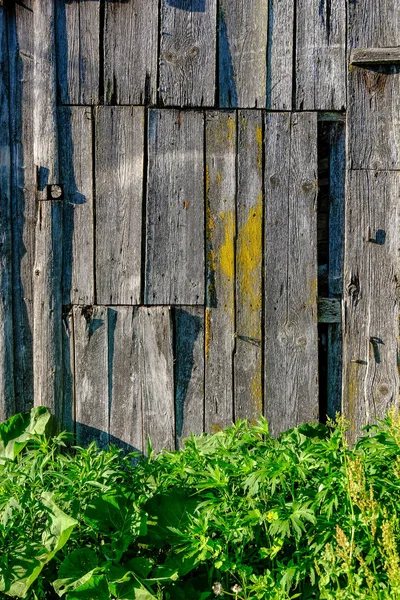 Ruínas Abandonadas Antigo Edifício Madeira Latvia Campo Verão Com Folhagem — Fotografia de Stock