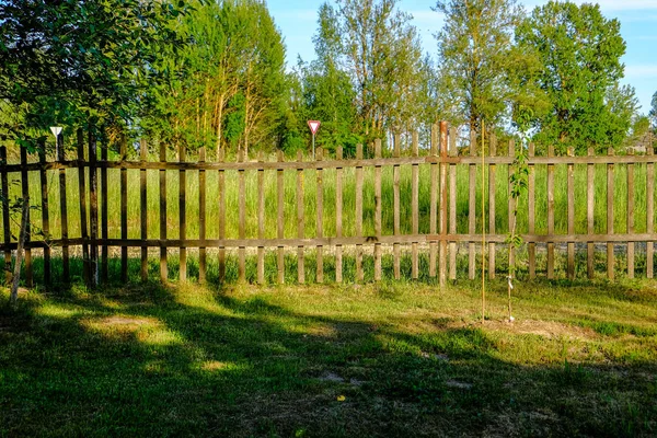 Tôt Matin Dans Jardin Campagne Avec Vieille Clôture Bois Rayons — Photo