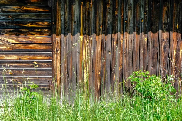 Ruínas Abandonadas Antigo Edifício Madeira Latvia Campo Verão Com Folhagem — Fotografia de Stock
