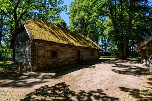 葉と夏のラトビアの田舎で古い木造建築の放棄された遺跡 — ストック写真