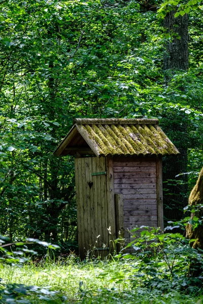 Verlassene Ruinen Einer Alten Holztoilette Der Landschaft Lettlands Sommer Mit — Stockfoto