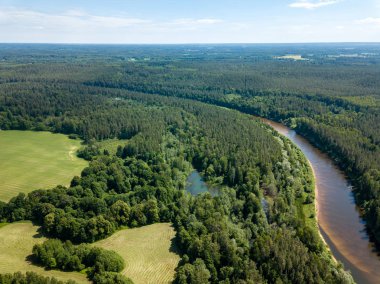 drone görüntü. havadan görünümü yılan nehrin derin yeşil ormanlarda. Gauja Letonya