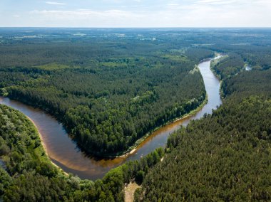 drone görüntü. havadan görünümü yılan nehrin derin yeşil ormanlarda. Gauja Letonya