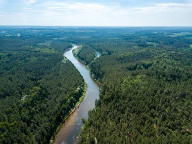 drone görüntü. havadan görünümü yılan nehrin derin yeşil ormanlarda. Gauja Letonya