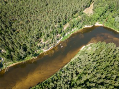 drone görüntü. havadan görünümü yılan nehrin derin yeşil ormanlarda. Gauja Letonya