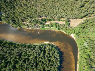 drone görüntü. havadan görünümü yılan nehrin derin yeşil ormanlarda. Gauja Letonya