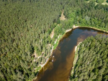 drone görüntü. havadan görünümü yılan nehrin derin yeşil ormanlarda. Gauja Letonya