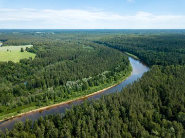 drone görüntü. havadan görünümü yılan nehrin derin yeşil ormanlarda. Gauja Letonya