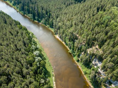 drone görüntü. havadan görünümü yılan nehrin derin yeşil ormanlarda. Gauja Letonya