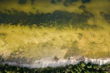 İHA görüntüsü. Baltık deniz kıyısında karada kayalar ve ormanlar olan hava manzarası. Letonya plajı