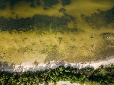 İHA görüntüsü. Baltık deniz kıyısında karada kayalar ve ormanlar olan hava manzarası. Letonya plajı