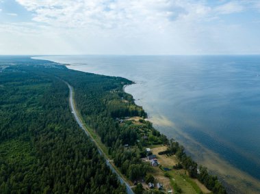 drone görüntü. kayalar ve orman toprak ve su yakınında otoyol Baltık Denizi sahilinin havadan görünümü. Letonya beach