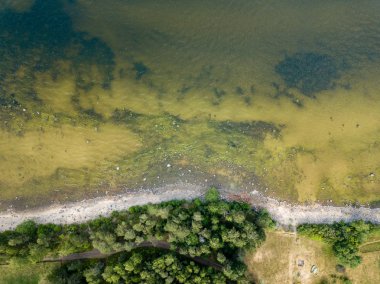 İHA görüntüsü. Baltık deniz kıyısında karada kayalar ve ormanlar olan hava manzarası. Letonya plajı