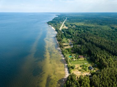 drone görüntü. kayalar ve orman toprak ve su yakınında otoyol Baltık Denizi sahilinin havadan görünümü. Letonya beach