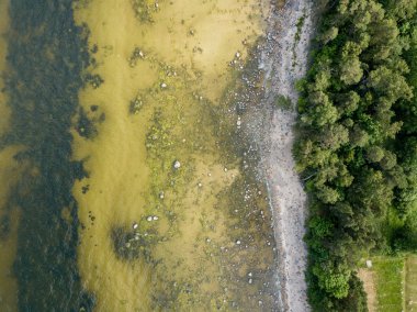İHA görüntüsü. Baltık deniz kıyısında karada kayalar ve ormanlar olan hava manzarası. Letonya plajı