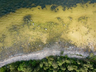 İHA görüntüsü. Baltık deniz kıyısında karada kayalar ve ormanlar olan hava manzarası. Letonya plajı