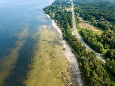 drone görüntü. kayalar ve orman toprak ve su yakınında otoyol Baltık Denizi sahilinin havadan görünümü. Letonya beach