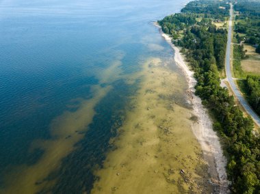 drone görüntü. kayalar ve orman toprak ve su yakınında otoyol Baltık Denizi sahilinin havadan görünümü. Letonya beach