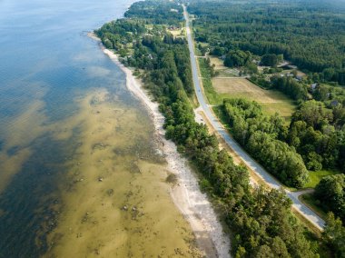 drone görüntü. kayalar ve orman toprak ve su yakınında otoyol Baltık Denizi sahilinin havadan görünümü. Letonya beach