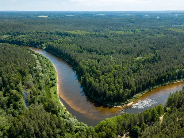 无人机图像 深绿色森林中的蛇河鸟瞰图 一个在拉脱维亚 — 图库照片